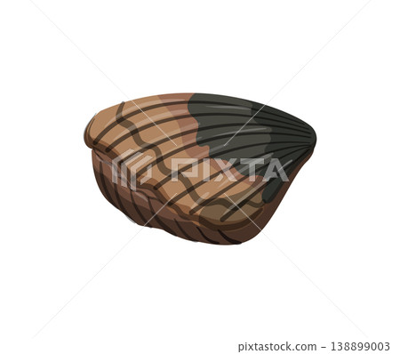 Striped Clam Shell Striped Clam Shell 138899003