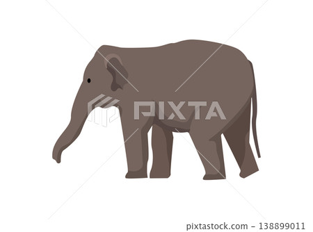 Elephant Graphic Elephant Graphic 138899011
