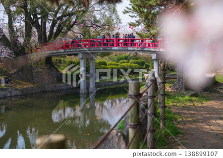 春天的岡崎城,櫻花盛開(愛知縣岡崎市) 春天的岡崎城,櫻花盛開(愛知縣岡崎市) 138899107