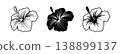 Silhouette tropical black hibiscus vector flowers set.  138899137