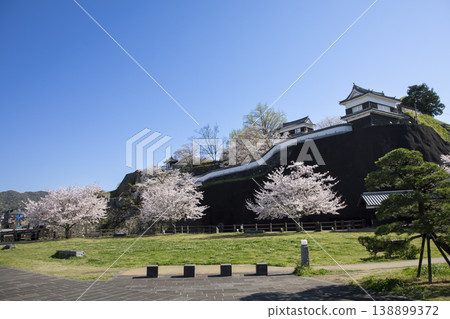 Usuki Castle and cherry blossoms in full bloom in Usuki City, Oita Prefecture. Usuki Castle and cherry blossoms in full bloom in Usuki City, Oita Prefecture. 138899372