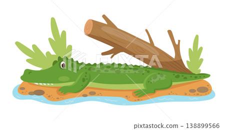 Crocodile on Riverbank Crocodile on Riverbank 138899566