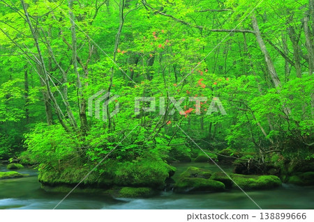 A mountain stream flowing through a green forest A mountain stream flowing through a green forest 138899666