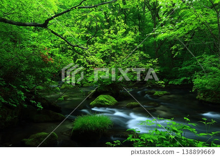 A mountain stream flowing through a green forest A mountain stream flowing through a green forest 138899669