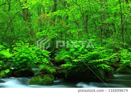 一條山溪流過綠色的森林 一條山溪流過綠色的森林 138899674