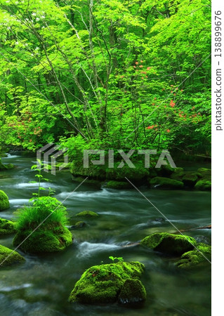 A mountain stream flowing through a green forest A mountain stream flowing through a green forest 138899676