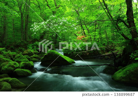 A stream flowing through the greenery 138899687