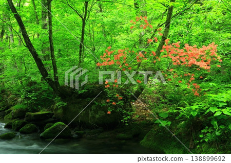 一條山間小溪流過青山綠水 138899692