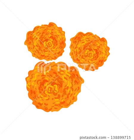 Marigold Flowers Trio Marigold Flowers Trio 138899715
