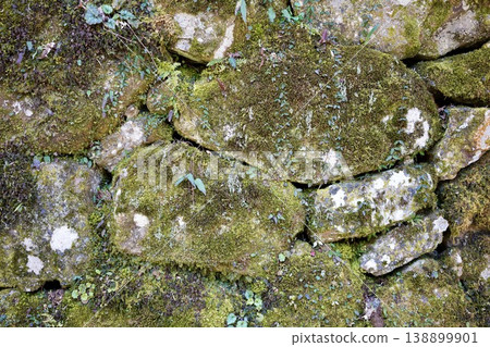 A stone wall with moss A stone wall with moss 138899901