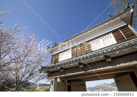 The main gate tower and cherry blossoms in full bloom at Usuki Castle ruins in Usuki City, Oita Prefecture. The main gate tower and cherry blossoms in full bloom at Usuki Castle ruins in Usuki City, Oita Prefecture. 138899953