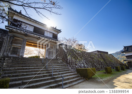 The main gate tower and cherry blossoms in full bloom at Usuki Castle ruins in Usuki City, Oita Prefecture. 138899954