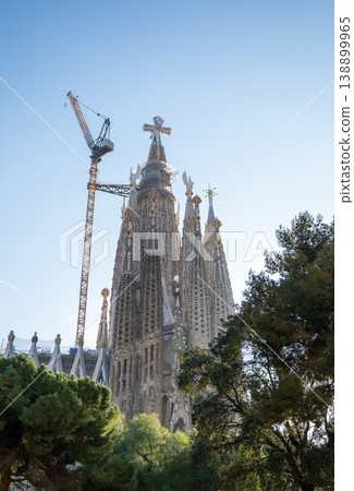 Sagrada Familia towers with construction crane and trees under blue sky in Barcelona Spain 138899965