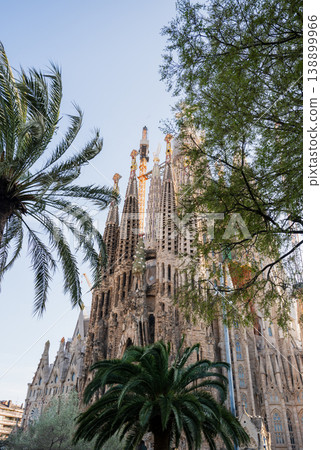Sagrada Familia basilica with palm trees and blue sky in Barcelona Spain 138899966
