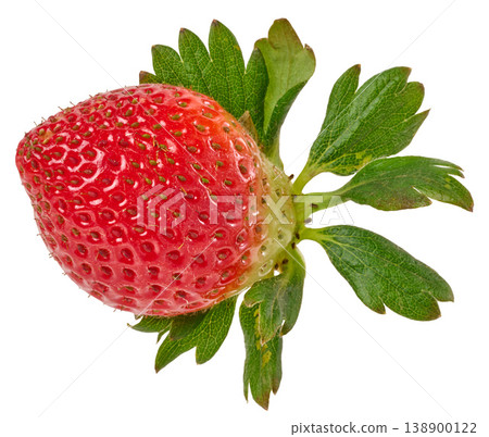 Large ripe strawberry berry with green sepals and leaves on an isolated background 138900122