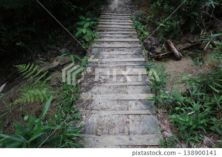 綠色包圍的道路 138900141