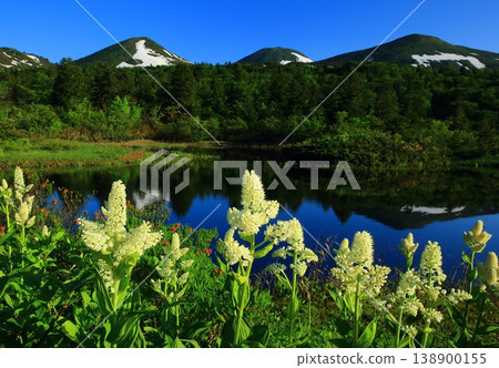 Hakkoda and Suiren-numa in early summer Hakkoda and Suiren-numa in early summer 138900155