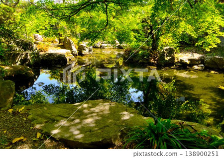 Traditional Japanese garden 138900251