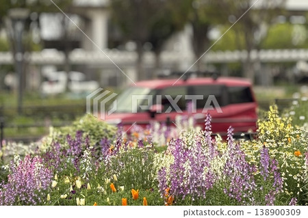 A flowerbed in a spring park and a red car A flowerbed in a spring park and a red car 138900309