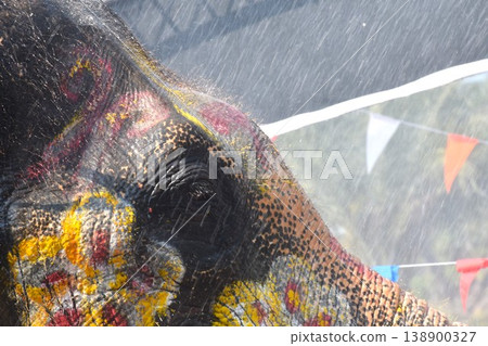 close up of elephant face with water falling texture and background 138900327