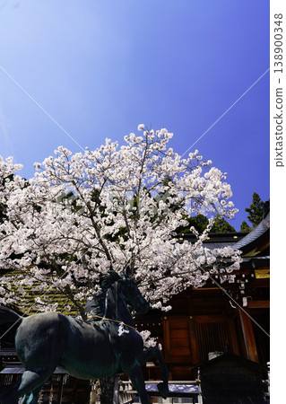 奈良縣川上村,春日藍天下櫻花盛開。 奈良縣川上村,春日藍天下櫻花盛開。 138900348