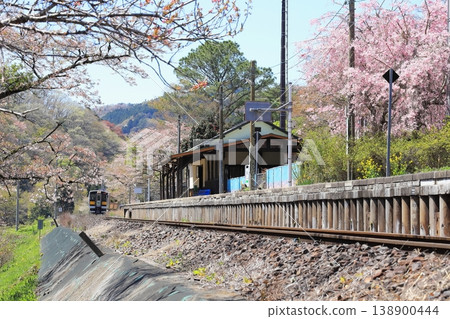水軍線:“春天的JR山津里山站,遠處駛來的列車” 水軍線:“春天的JR山津里山站,遠處駛來的列車” 138900444