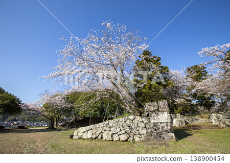 Stone walls and cherry blossoms at Usuki Castle Ruins in Usuki City, Oita Prefecture Stone walls and cherry blossoms at Usuki Castle Ruins in Usuki City, Oita Prefecture 138900454