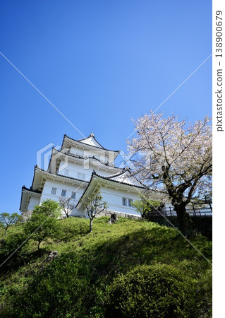 小田原城（神奈川縣小田原市） 138900679
