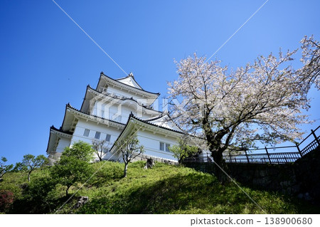 小田原城（神奈川縣小田原市） 138900680