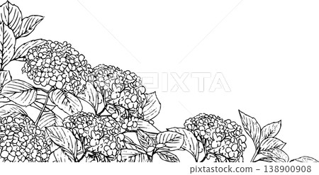Line art hydrangea background illustration 138900908