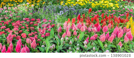 Beautiful flower garden Beautiful flower garden 138901028