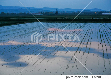 A stunning scene of rice paddies and the sky reflected in the water at sunset in Hokkaido. A representative example of Hokkaido's magnificent natural beauty. A landscape photograph capturing the majestic natural beauty of Hokkaido. A stunning scene of rice paddies and the sky reflected in the water at sunset in Hokkaido. A representative example of Hokkaido's magnificent natural beauty. A landscape photograph capturing the majestic natural beauty of Hokkaido. 138901158