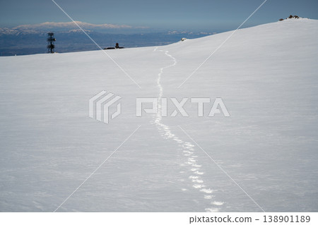 北海道冬季白雪皚皚的山脊和森林。北海道的森林景觀,由白樺樹和針葉樹交織而成。北海道茂密的森林,由白樺樹和針葉樹交織而成。 北海道冬季白雪皚皚的山脊和森林。北海道的森林景觀,由白樺樹和針葉樹交織而成。北海道茂密的森林,由白樺樹和針葉樹交織而成。 138901189