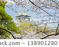 「大阪府」（四月）[櫻花] 春日的陽光下，櫻花盛開；人們在大阪城外護城河中盛開的櫻花樹下欣賞櫻花。 138901280