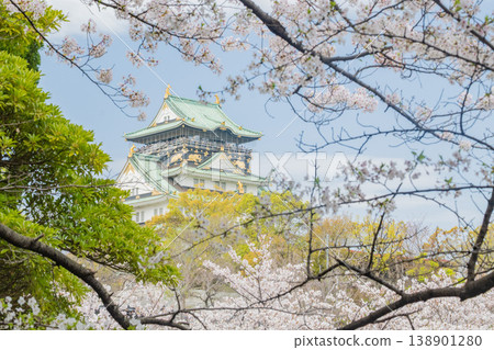 「大阪府」（四月）[櫻花] 春日的陽光下，櫻花盛開；人們在大阪城外護城河中盛開的櫻花樹下欣賞櫻花。 138901280