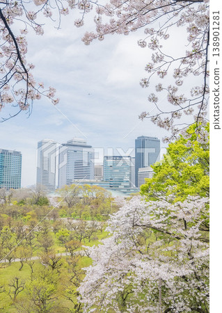 「大阪府」（四月）[櫻花] 春日陽光下盛開的櫻花；透過盛開的櫻花，可以看到大阪的摩天大樓。 138901281