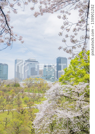 「大阪府」（四月）[櫻花] 春日陽光下盛開的櫻花；透過盛開的櫻花，可以看到大阪的摩天大樓。 138901282