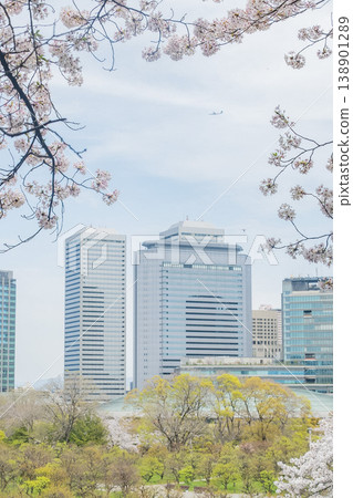 "Osaka Prefecture" (April) [Cherry Blossoms] Cherry blossoms bathed in spring sunlight; Osaka's skyscrapers visible through the fully bloomed cherry blossoms. 138901289
