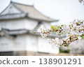 「大阪府」（四月）[櫻花] 春日的陽光下，櫻花盛開；人們在大阪城外護城河中盛開的櫻花樹下欣賞櫻花。 138901291