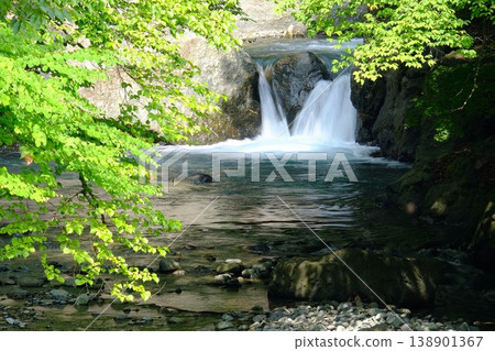 [Kanagawa Prefecture] A small waterfall surrounded by fresh greenery 138901367