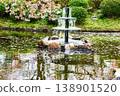 The fountain and Hagoromo Pond at Utsubuki Park, a famous cherry blossom viewing spot. 138901520