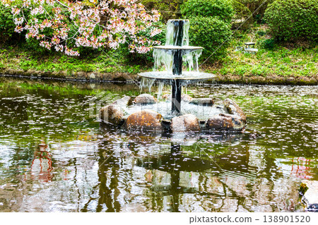 The fountain and Hagoromo Pond at Utsubuki Park, a famous cherry blossom viewing spot. The fountain and Hagoromo Pond at Utsubuki Park, a famous cherry blossom viewing spot. 138901520