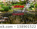 Cherry blossom petals floating on Hagoromo Pond in Utsubuki Park, a famous cherry blossom viewing spot, and a red bridge. 138901522