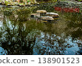 A pond with floating cherry blossom petals 138901523