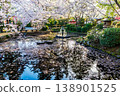 A pond with floating petals, a fountain, and cherry blossoms. 138901525
