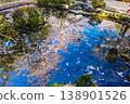 Cherry blossoms and paper lanterns reflected in the pond 138901526