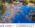Cherry blossoms and paper lanterns reflected in the pond 138901527