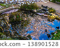 Cherry blossoms and paper lanterns reflected in the pond 138901528