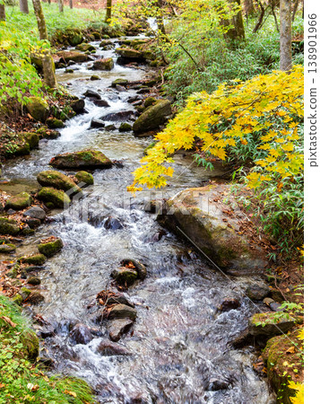 The lush, clear streams of Okutama in late autumn The lush, clear streams of Okutama in late autumn 138901966