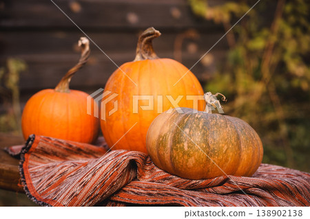 Rustic Fall Pumpkins on Wooden Bench 138902138